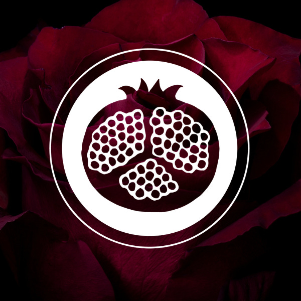 The Nature of Invisible Things