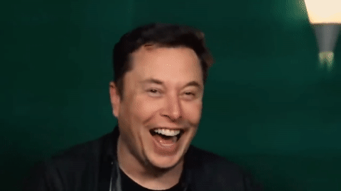 ☆ Elon Musk ☆ – @elons-angel on Tumblr ☆ Elon Musk ☆ – @elons-angel on Tumblr