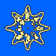 Protocolized
