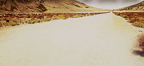 Frank Tumbleweed GIFs - Find & Share on GIPHY