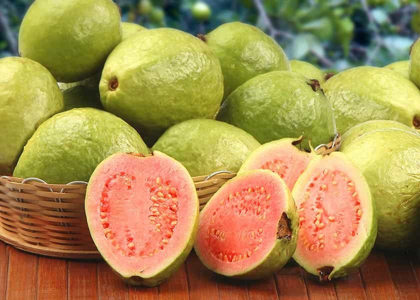 Guava Stack What Are Guavas Good For? - by Dr. Joseph Mercola