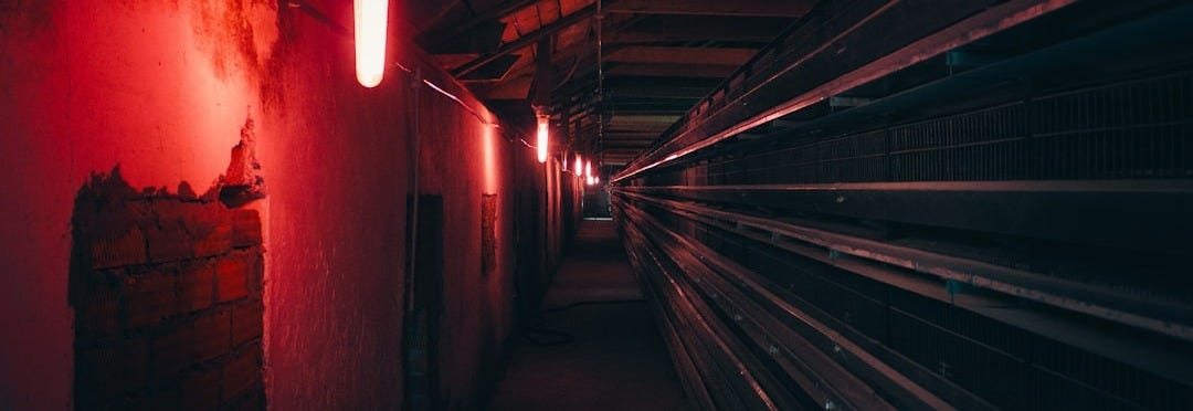 tunnel with light turned on during night time
