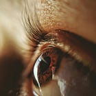 Signal 044. How We See