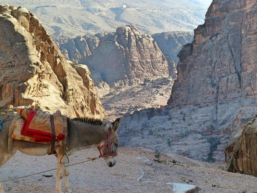 Volunteering with the Bedouin in Jordan