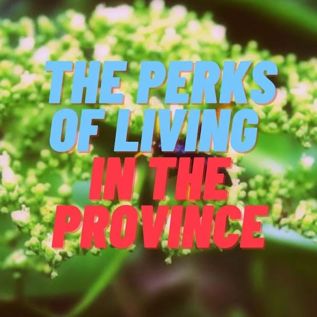 Provincial living The perks and benefits of living in the province