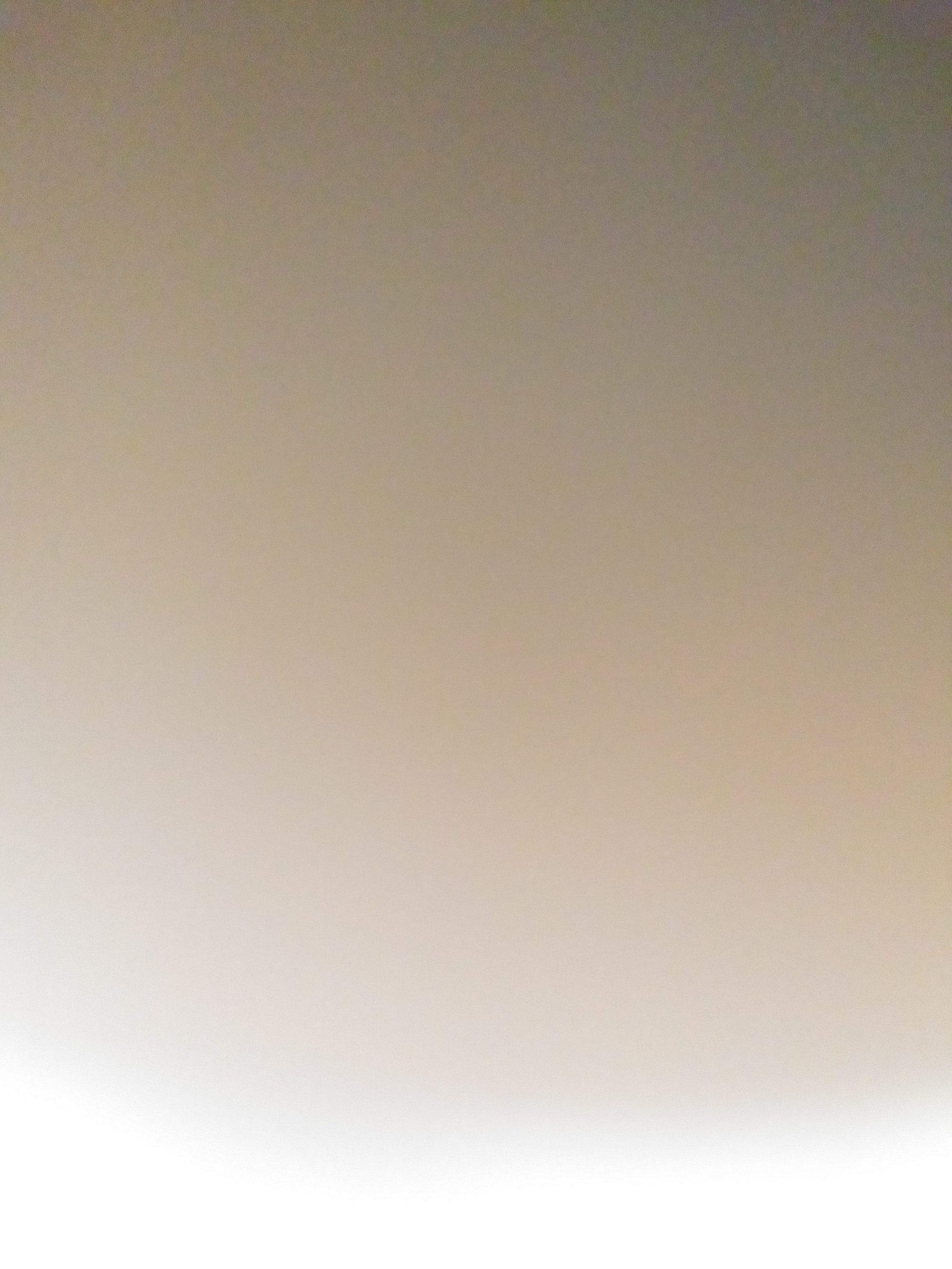 Substack profile picture for @lopez