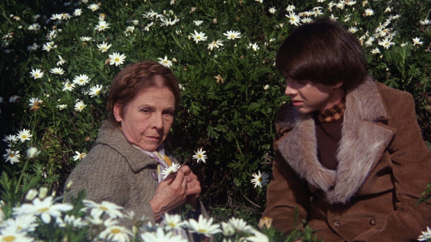 Harold and Maude | Still features Ruth Gordon and Bud Cort as the title characters in a flower bed.