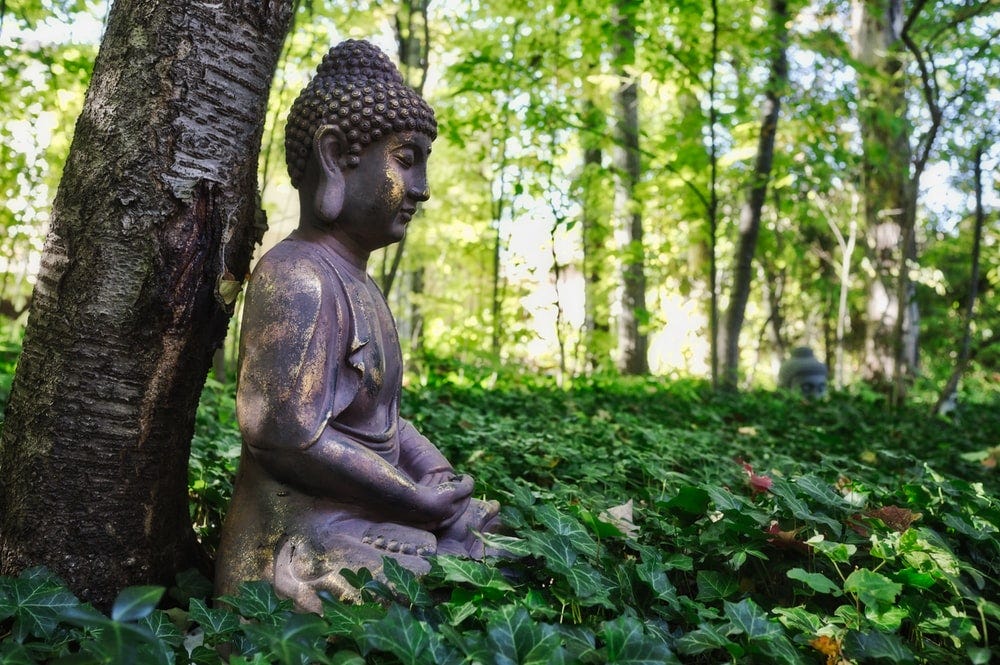 shallow focus photo of Gautama Buddha figurine shallow focus photo of Gautama Buddha figurine