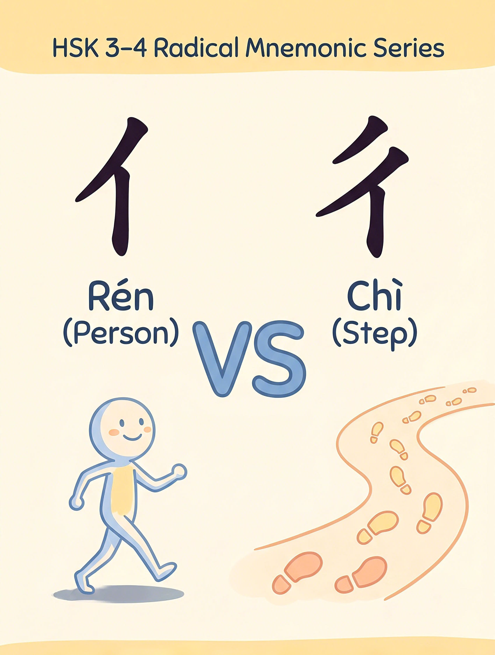 亻(Rén) vs 彳(Shuāngrénpáng): HSK3-4 Radical Breakdown & Vocab Review