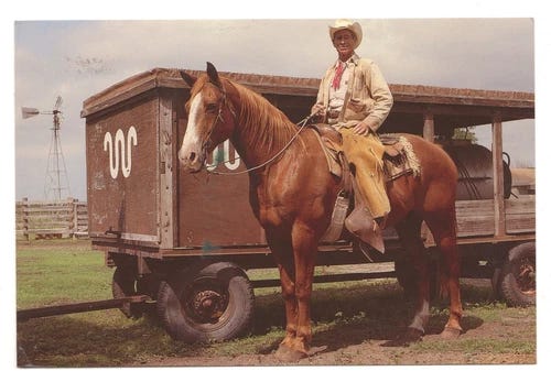 Vintage King Ranch Cowboy Lolo Trevino Postcard Kingsville Texas Posted - Picture 1 of 2