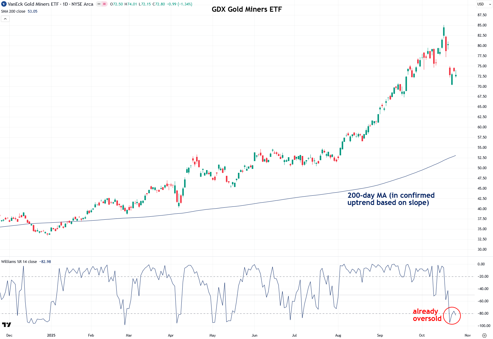 Some Further Thoughts on the Precious Metals Pullback