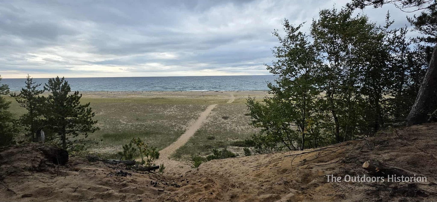 A view from a low, wooded bluff over shallow rolling dunes toward a beach and the lake.