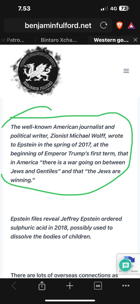 A screenshot of a website with texts on journalistic and political topics, including comments on Michael Wolff and Jeffrey Epstein.
