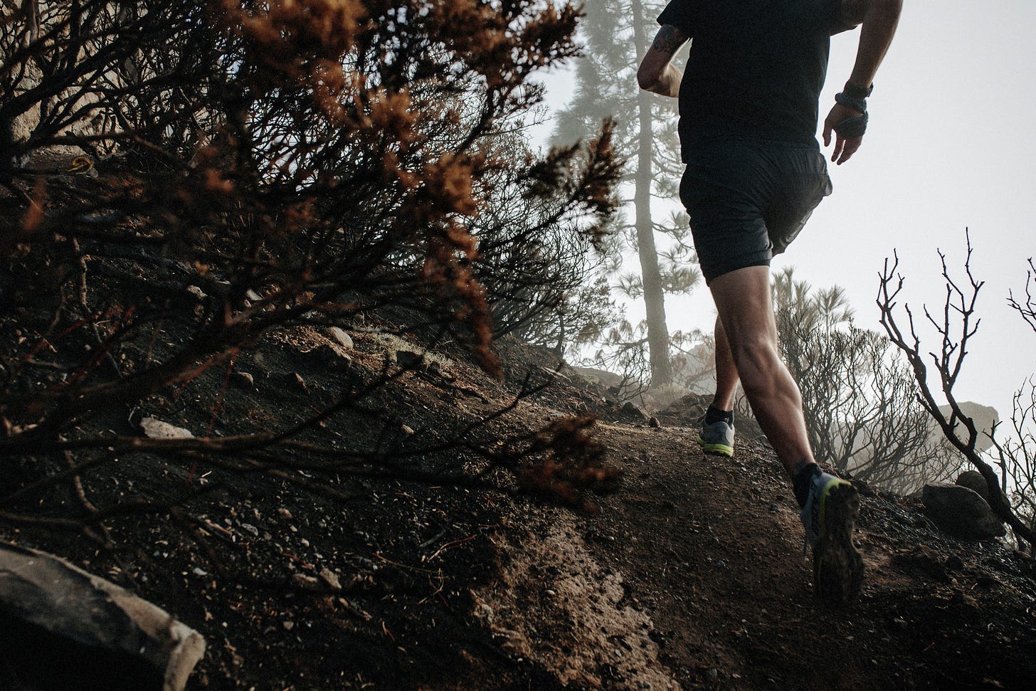 Der Autor läuft über verbrannten Boden auf einem Trail