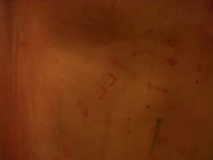 See the GF mark? That's so he knows it's HIS breed, his particular hog. No switching allowed!