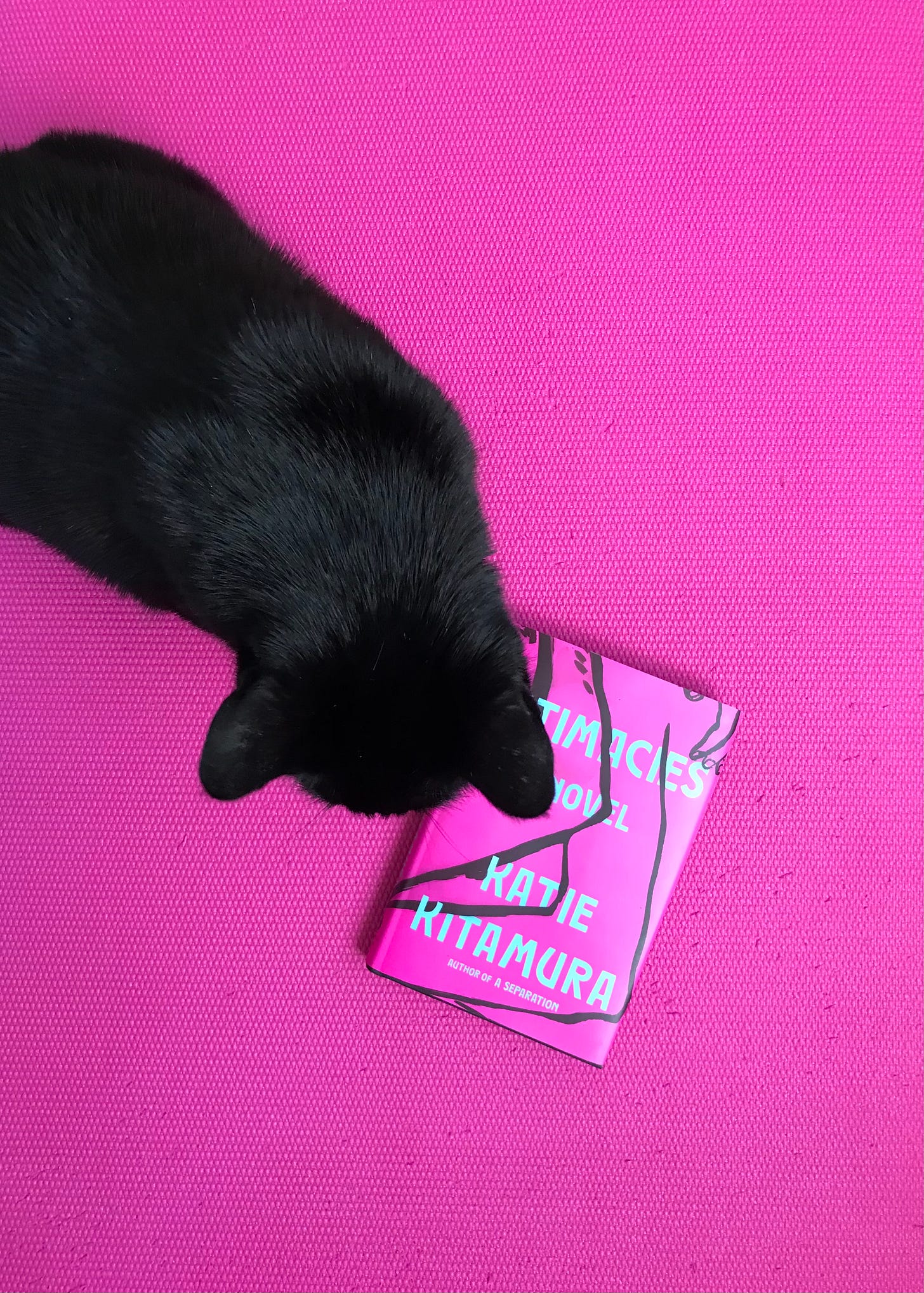A black cat on a hot pink yoga mat hovers over a book with a hot pink cover