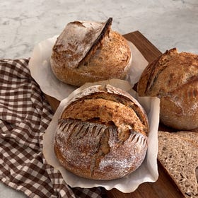 The Sourdough Deep Dive: My Favorites a Year In
