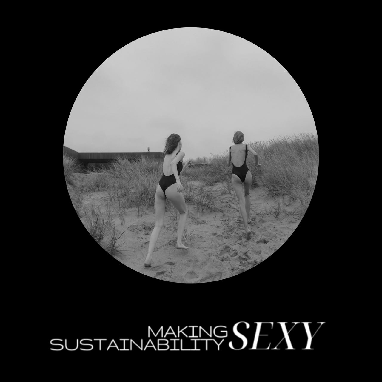 Making Sustainability Sexy