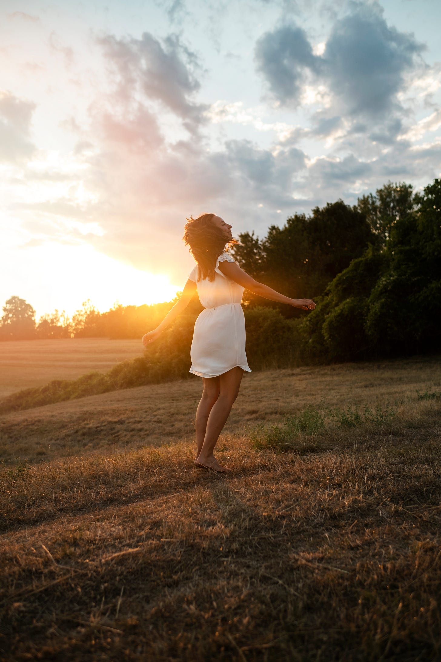 Fetching Lady How to Attract Without Chasing — The Feminine Way