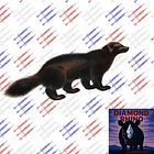 The Wolverine Stack debate misses the point (and needles)