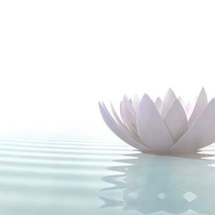 The Bodhi Soul · Mindful Living for Real Life