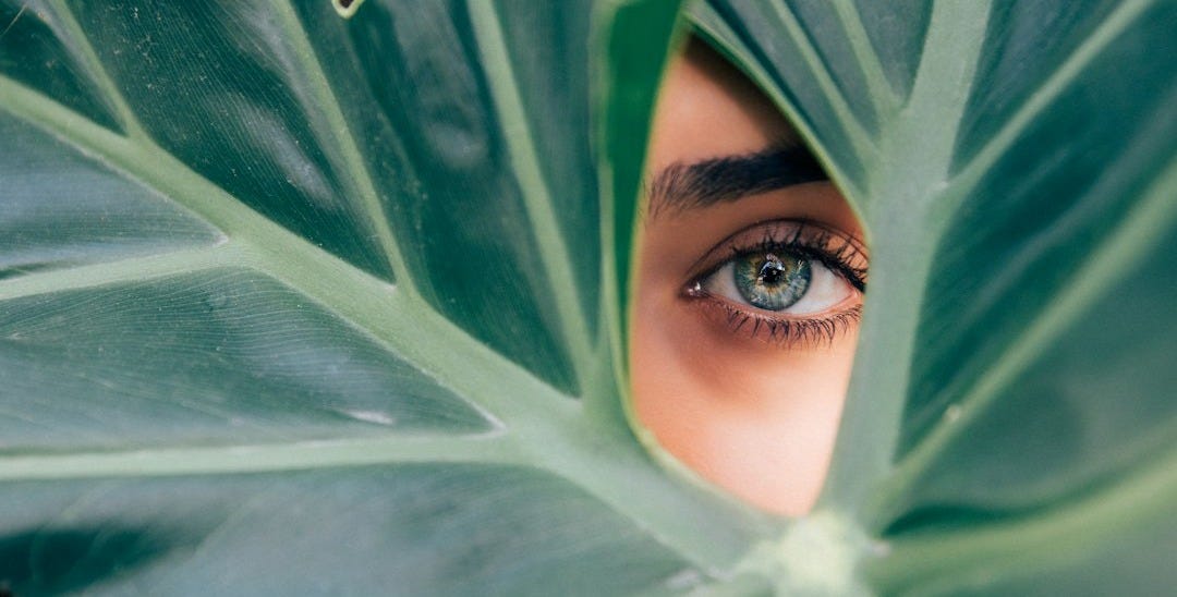 woman peeking over green leaf plant taken at daytime