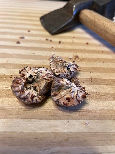 Crunching the Nutmeg
