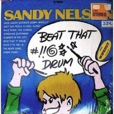 Sandy Sandy