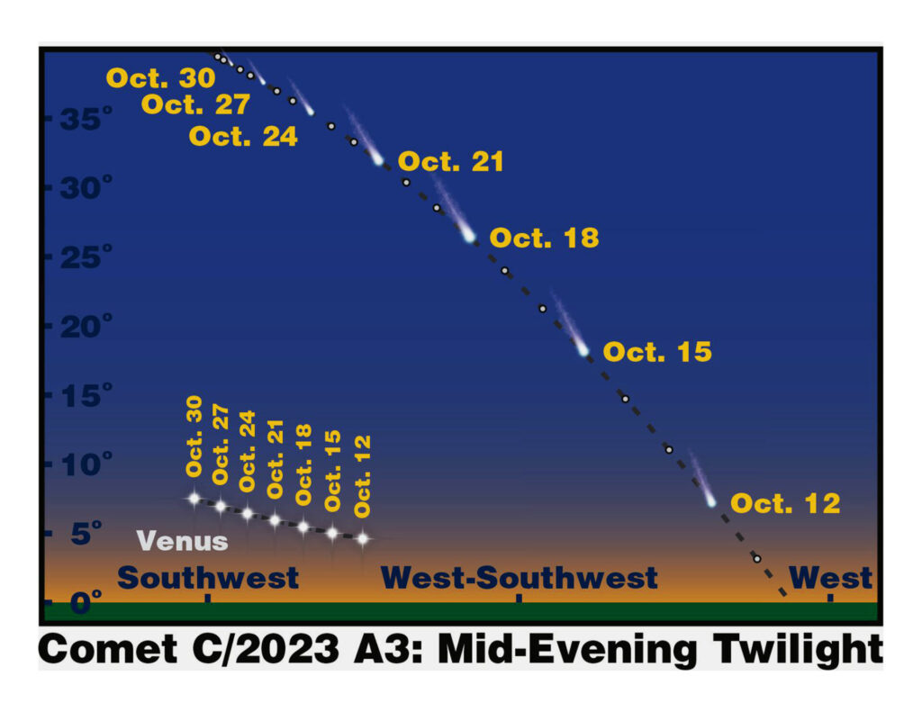Newly-Discovered Comet Tsuchinshan-ATLAS: Will It Dazzle or Disappoint? -  Bell Museum