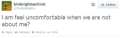 birdsrightsactivist on Twitter: "i have discover a prolem with this  situation. the situation is not about me."