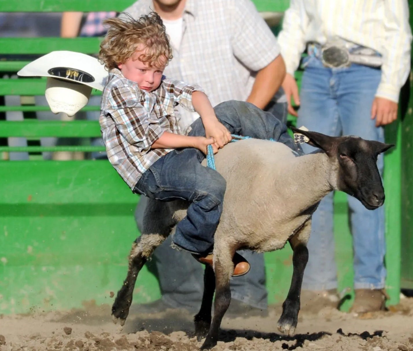 A child riding a sheep