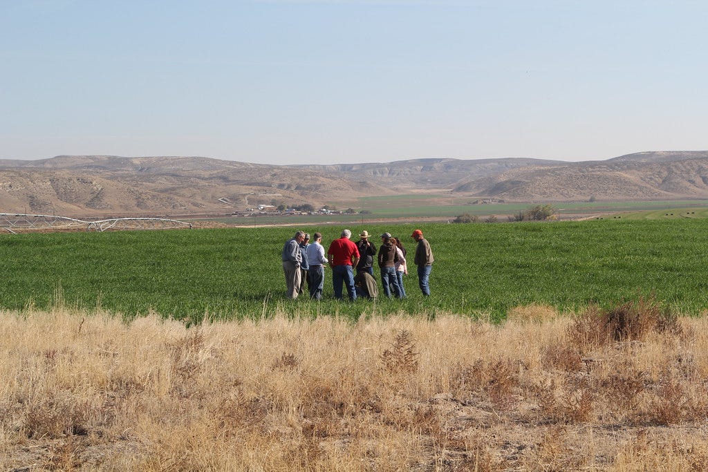 Healthy Soil Maximizes Moisture, Boosts Profits for Oregon Farmer Healthy Soil Maximizes Moisture, Boosts Profits for Oregon Farmer