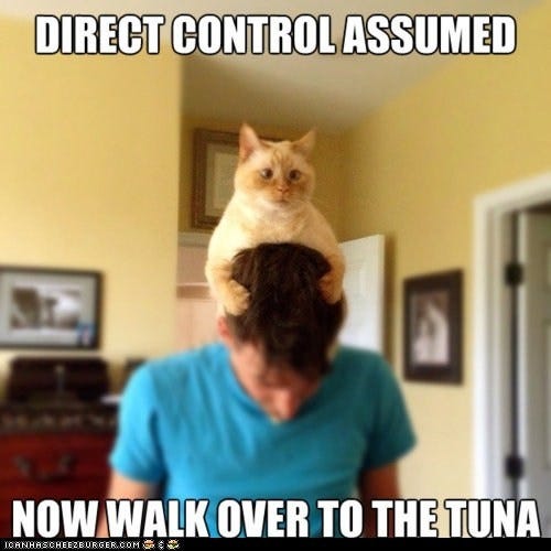 Control Cat