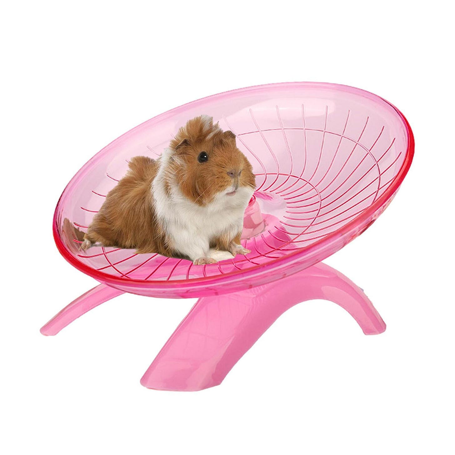 Pet Hamster Flying Saucer Exercise Wheel Guinea Pig Mouse Running Disc Cage  Toy | eBay