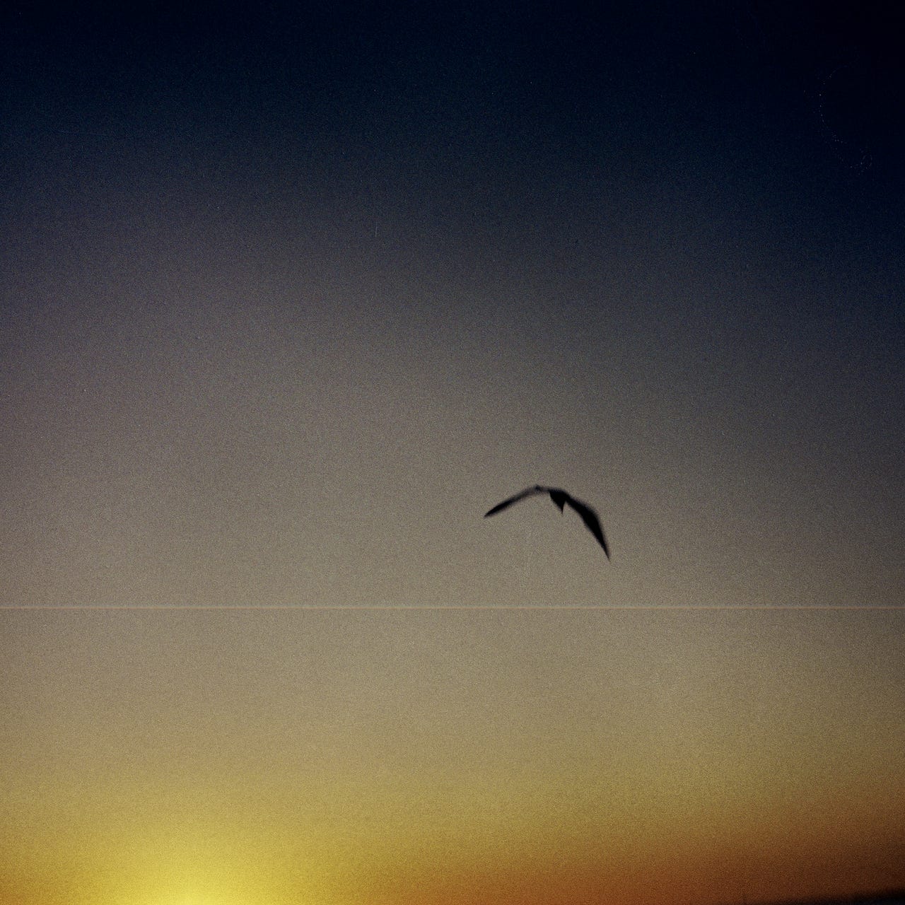 Vagabond