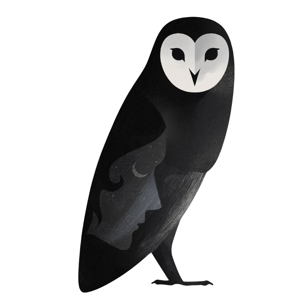 Rebel Wisdom: Writing and Rituals for Women at Midlife logo