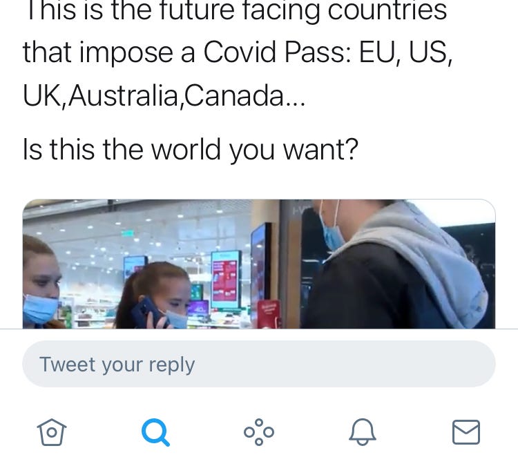 alexberenson.substack.com