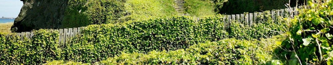 a grassy hill with a castle on top of it a grassy hill with a castle on top of it