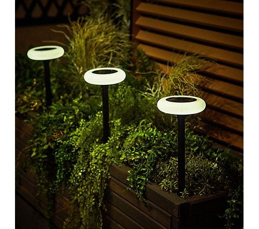Flourish Solar Ground Stake Light (Set of 4) with Remote