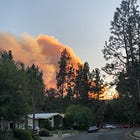 The Case for Optimism, Rebuilding After the LA Fires' Cognitive Dissonance