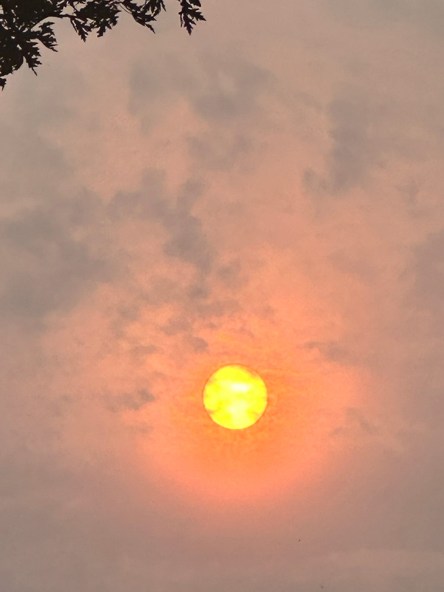 An eerily clouded sun