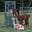 Ann Baldwin's avatar