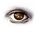 Priya Kale's avatar