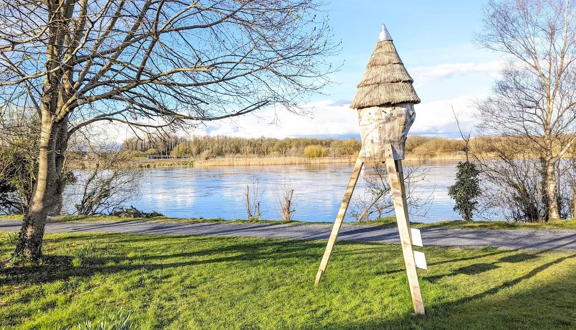 L’apiculture en Irlande