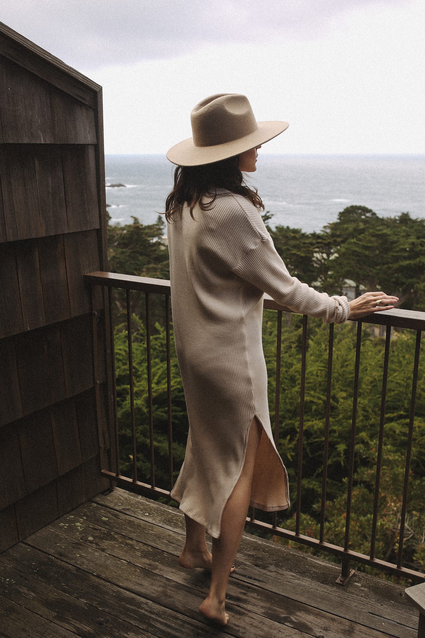 exploring the Big Sur coastline