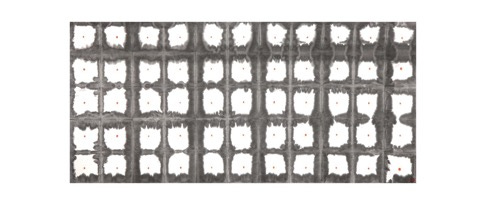 A black and white pattern

Description automatically generated
