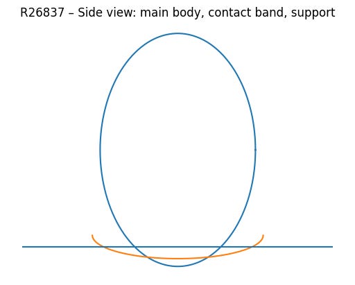 Side view – main biological body, compressed contact band, and hard support surface.