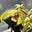 Teresa Morgan's avatar