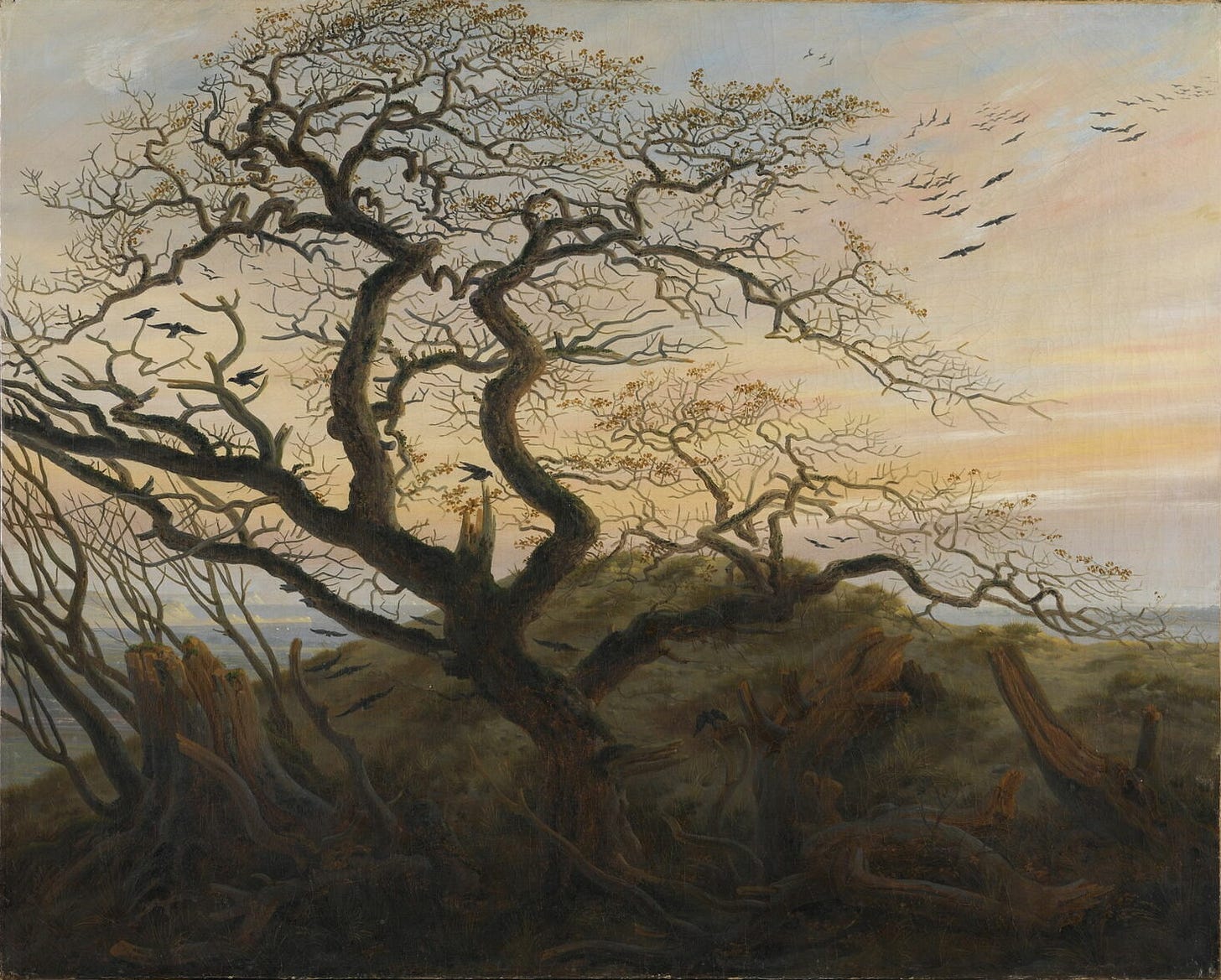 Friedrich's Tree of Crows, a wind-bent oak crowded with black birds in front of a pink sky and chalk cliffs Friedrich's Tree of Crows, a wind-bent oak crowded with black birds in front of a pink sky and chalk cliffs