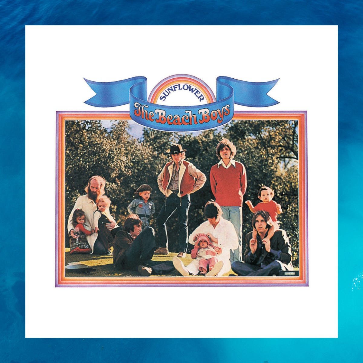 The Beach Boys / SUNFLOWER レコード Sunflower (The Beach Boys